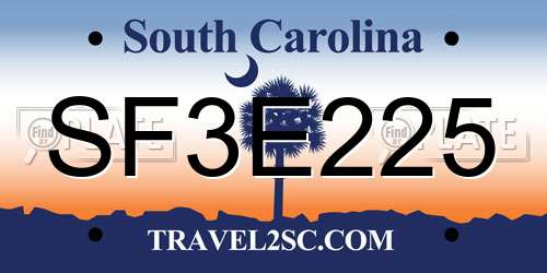 SF3E225 South Carolina License Plate
