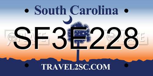 SF3E228 South Carolina License Plate