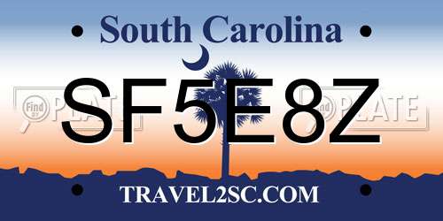 SF5E8Z South Carolina License Plate