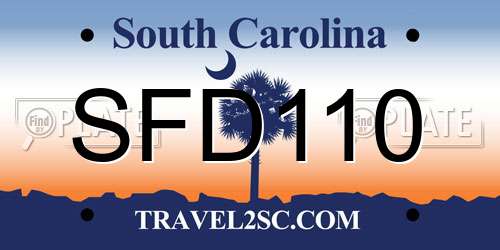 SFD110 South Carolina License Plate