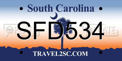SFD534 South Carolina License Plate