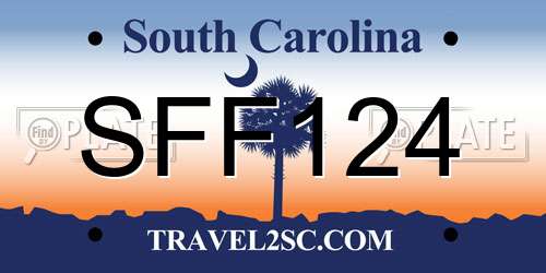 SFF124 South Carolina License Plate