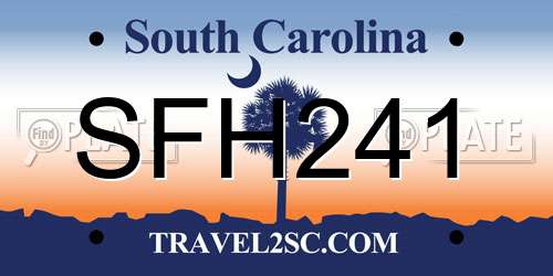 SFH241 South Carolina License Plate