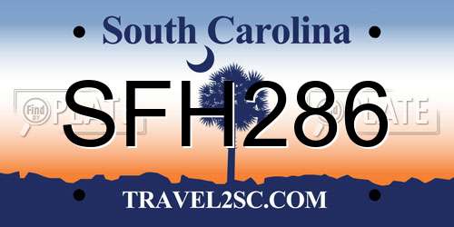SFH286 South Carolina License Plate