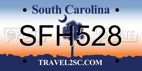 SFH528 South Carolina License Plate