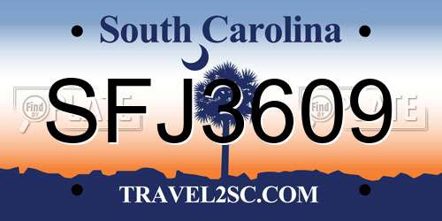 SFJ3609 South Carolina License Plate