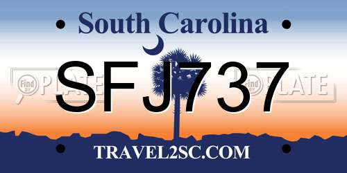SFJ737 South Carolina License Plate