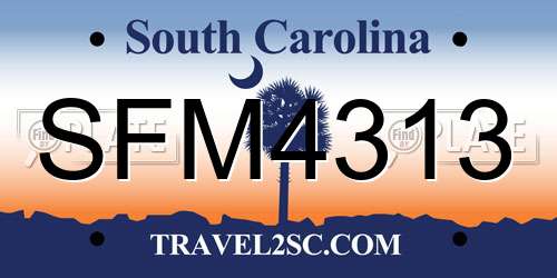 SFM4313 South Carolina License Plate
