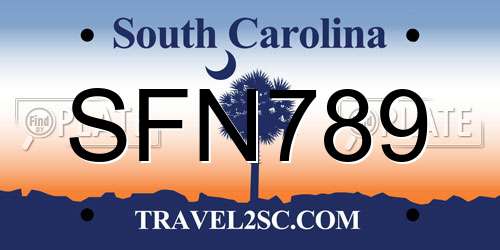 SFN789 South Carolina License Plate