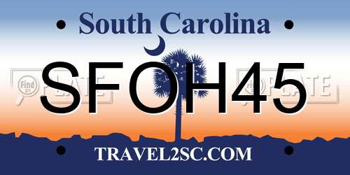 SFOH45 South Carolina License Plate