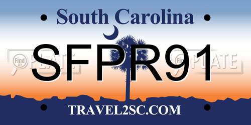 SFPR91 South Carolina License Plate