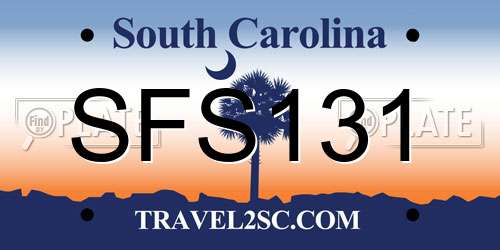 SFS131 South Carolina License Plate