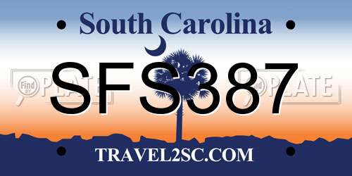 SFS387 South Carolina License Plate