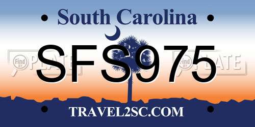 SFS975 South Carolina License Plate