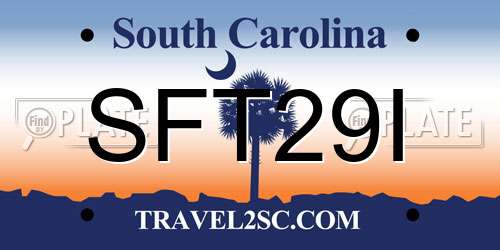 SFT29I South Carolina License Plate