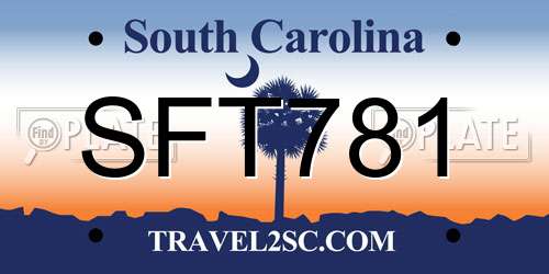 SFT781 South Carolina License Plate