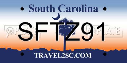 SFTZ91 South Carolina License Plate