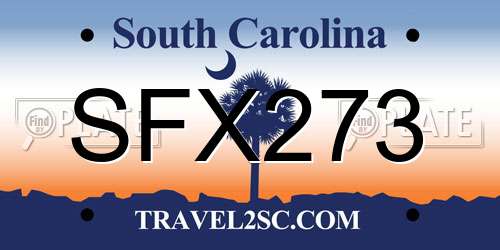 SFX273 South Carolina License Plate