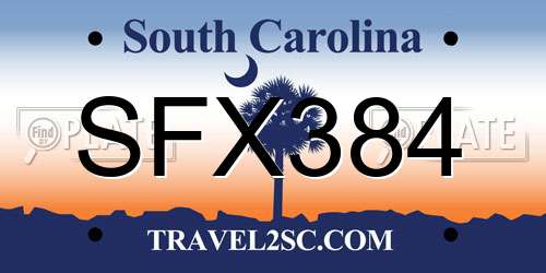 SFX384 South Carolina License Plate