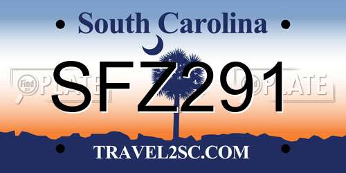 SFZ291 South Carolina License Plate