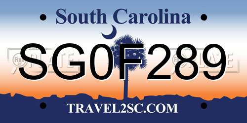 SG0F289 South Carolina License Plate