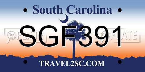 SGF391 South Carolina License Plate