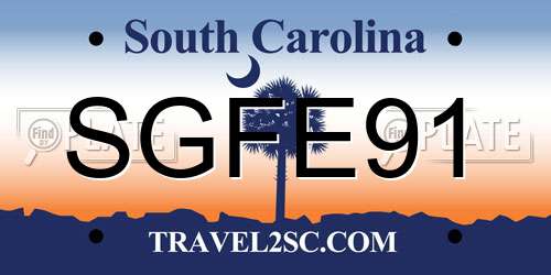 SGFE91 South Carolina License Plate