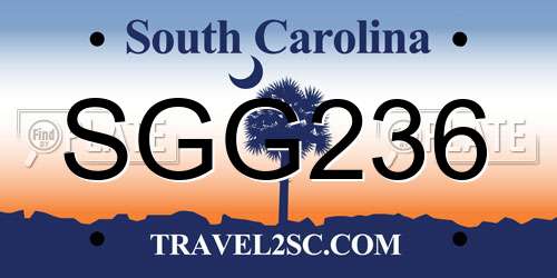 SGG236 South Carolina License Plate