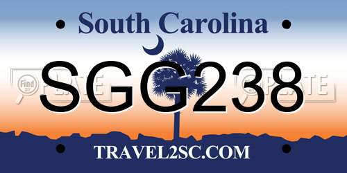 SGG238 South Carolina License Plate