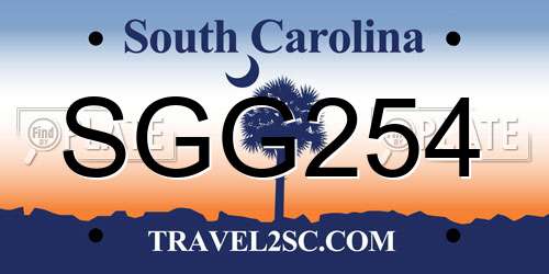 SGG254 South Carolina License Plate