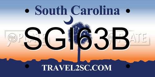 SGI63B South Carolina License Plate