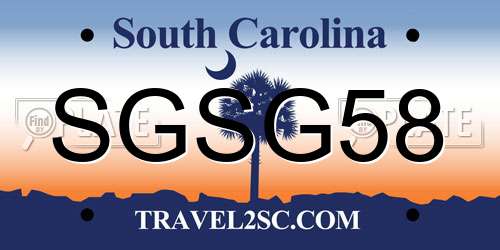 SGSG58 South Carolina License Plate