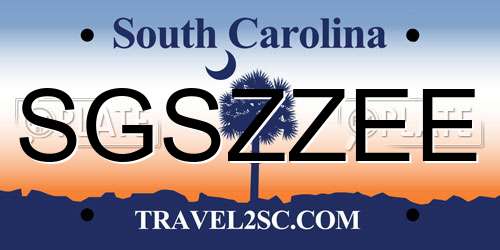 SGSZZEE South Carolina License Plate