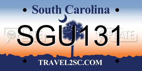 SGU131 South Carolina License Plate