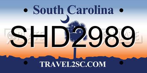SHD2989 South Carolina License Plate