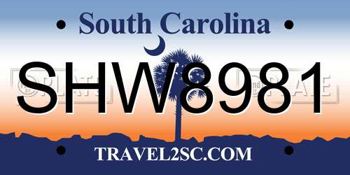 SHW8981 South Carolina License Plate