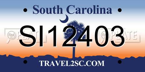 SI12403 South Carolina License Plate