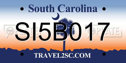 SI5B017 South Carolina License Plate