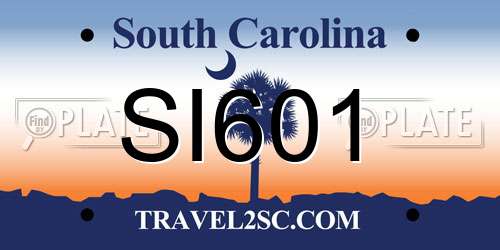 SI601 South Carolina License Plate