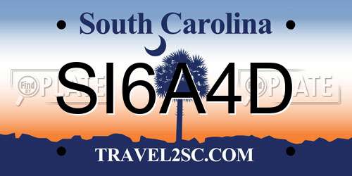 SI6A4D South Carolina License Plate