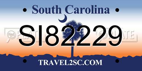 SI82229 South Carolina License Plate