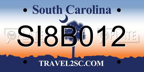 SI8B012 South Carolina License Plate