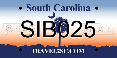 SIB025 South Carolina License Plate