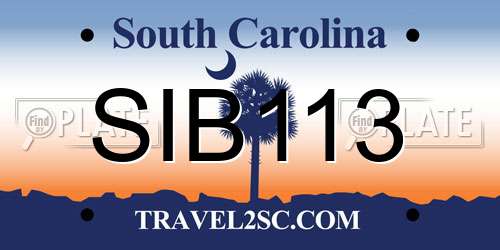 SIB113 South Carolina License Plate