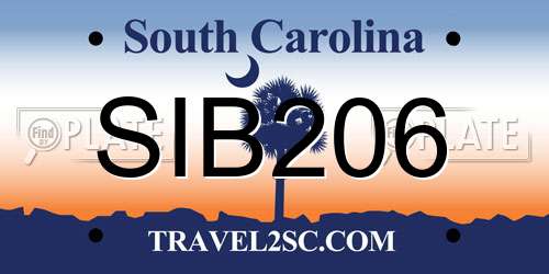 SIB206 South Carolina License Plate