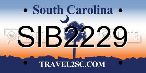SIB2229 South Carolina License Plate