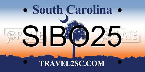 SIBO25 South Carolina License Plate