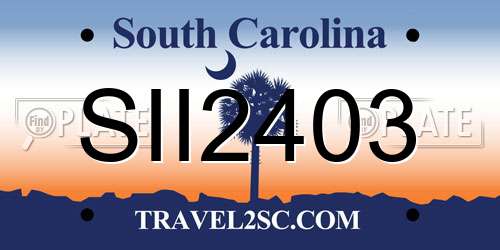 SII2403 South Carolina License Plate