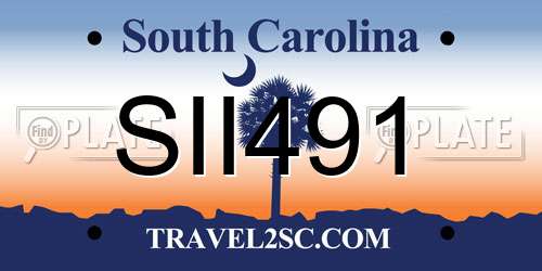 SII491 South Carolina License Plate