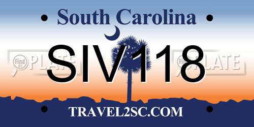 SIV118 South Carolina License Plate